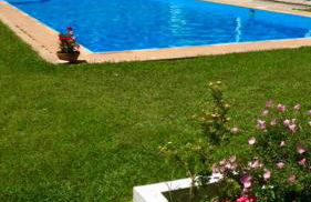 Vereniki 1 - Foto 10