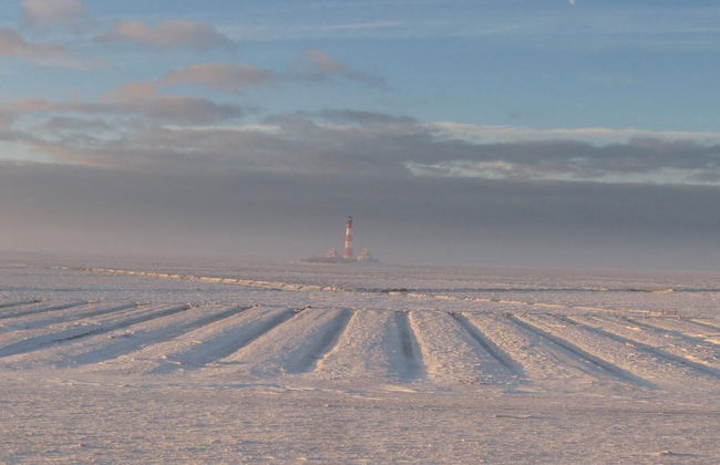 Dorotheenhof - Foto 23