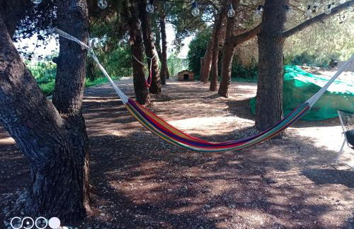 Casa Rural COMPLEX MASIA DEL TREMENDO y Agroturismo - Foto 47