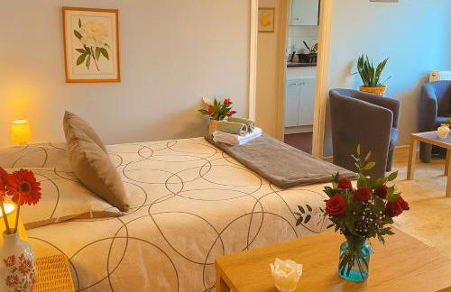 Studio proche de la mer avec parking Cagnes-sur-Mer - Foto 1