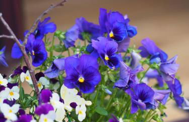 foxxbau - urlaubswohnen im Saarschleifenland - Photo 7