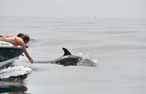 Faro Beach House - Foto 33