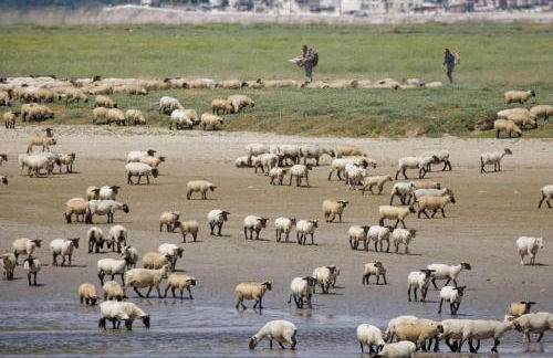 L'Olivier en Baie, T3 de standing avec jardin, vue baie, parking privé - Foto 50