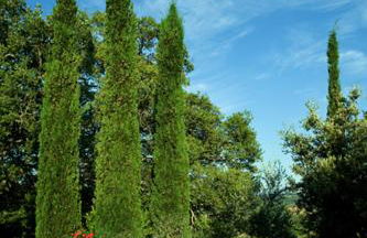 Agriturismo La Casa Nuova - Foto 13