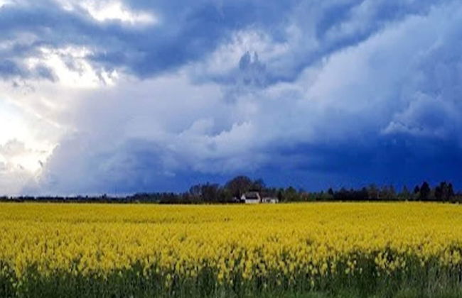 6 Person Holiday Home in Graested-by Traum - Foto 23