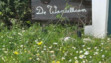 Kyparissia De Wandelboom - Foto 5