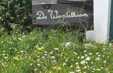 Kyparissia De Wandelboom - Foto 5