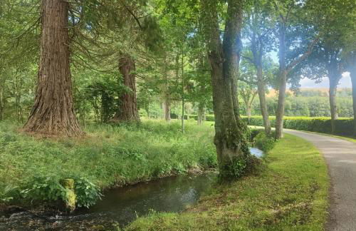 Hillhaven Lodge - Foto 25