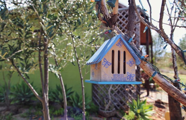 Posada San Antonio - Foto 35