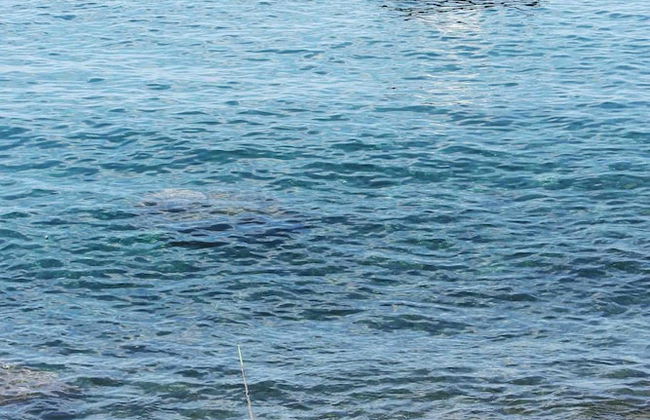 Fajã dos Padres - Foto 13