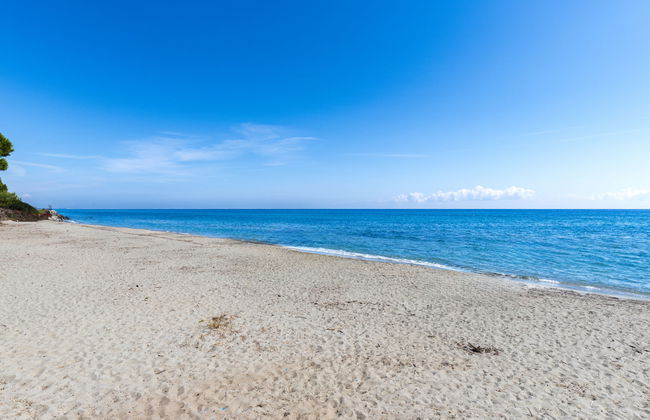 Maison Gerard - Photo 43