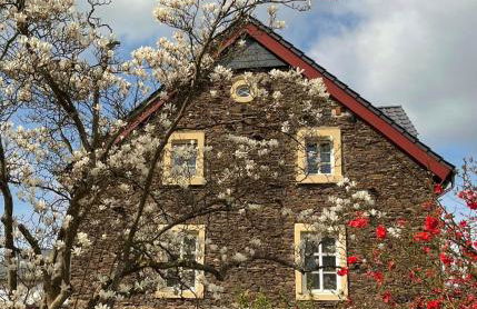 Neu!!! Moselbleibe Altes Forsthaus - Foto 1