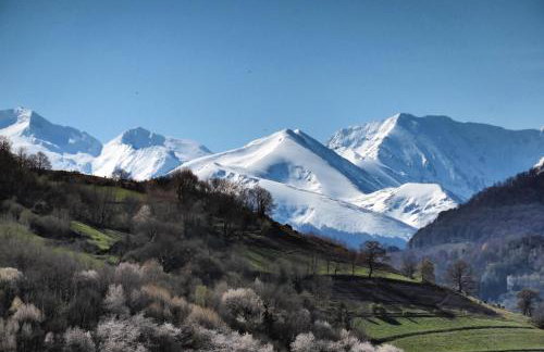 Maison avec vue, grand terrain clos, bain nordique privé toute l'année, animaux acceptés - Photo 38