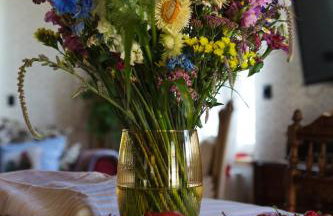 Na wsi Zalesie 53 - Foto 49