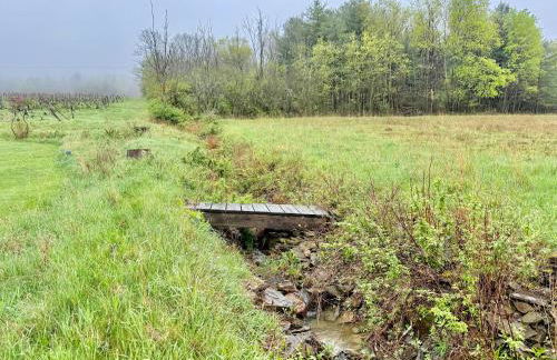 Purple Parrot - Foto 26