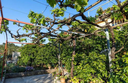 Apartments Vesna - Photo 14