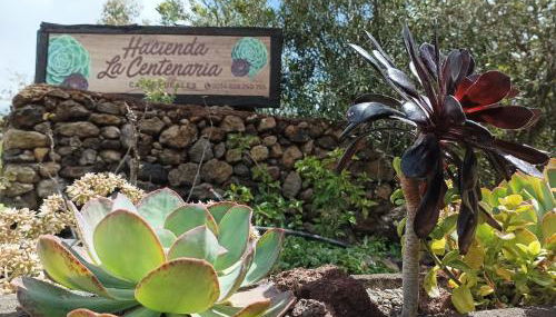 HACIENDA LA CENTENARIA,CASAS RURALES - Foto 3