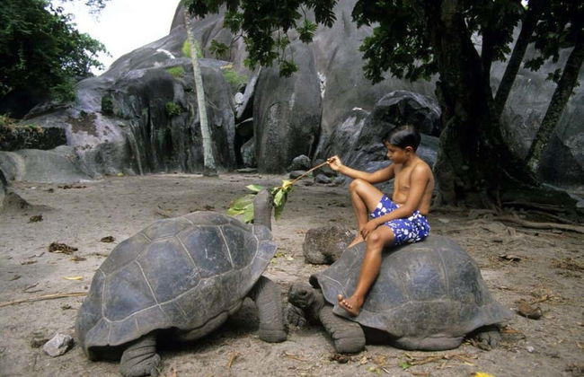 Tour por La Digue - Foto 2