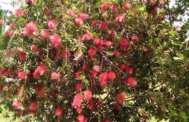 Villa Serenity a luxury relaxing retreat with swimming pool in Kymi Euboea - Foto 139