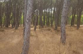 Residenza Bottego Mare - Foto 53