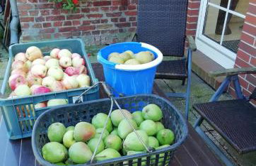 Das Apfelhaus - Foto 15