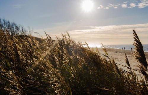 Friederike - Foto 17