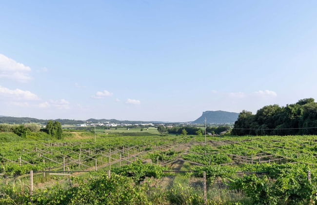 Belvilla by OYO Idra - Foto 32