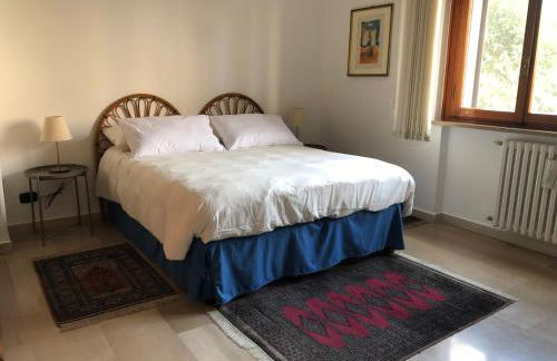 La Pigna Verde - Foto 20