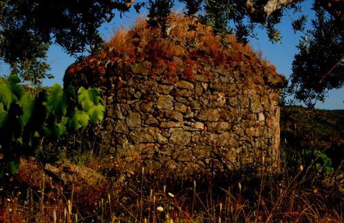 Casa Rural Las Jañonas CC-CR-00219 - Foto 66