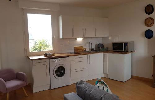 Le petit duplex du port de Locquirec - 100 m de la plage - Photo 9