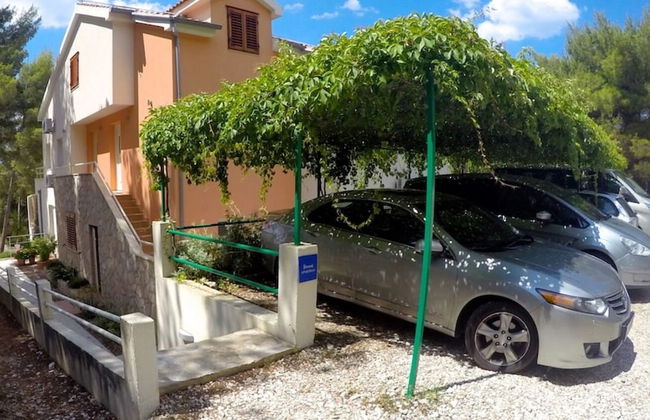 Dino - Gorgeous Garden - SA1 Zavala - Photo 41