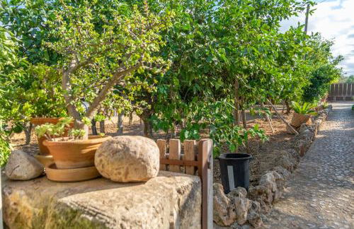 Finca Son Matginet 18 - Foto 40