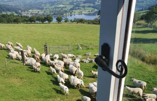 4 Bed in Llangower oc-f31072 - Foto 36