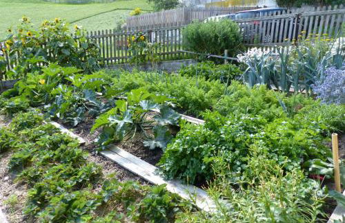 Bauernhof Mairing - Foto 42