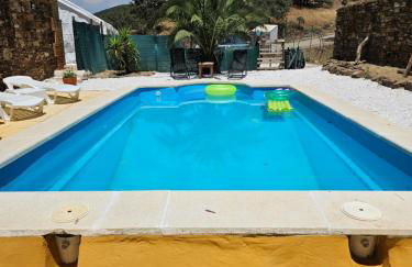 Experience Alpacas in Andalucia - Foto 19