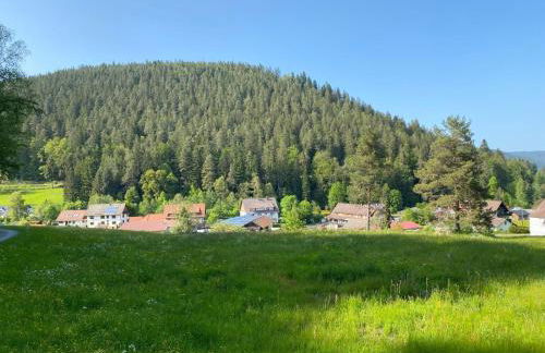 Schwarzwaldhaus Zwink - Foto 11