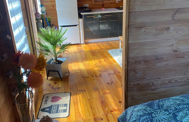 Holiday Home in Stepnica With Sauna & Jacuzzi - Photo 5