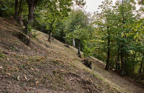 Agriturismo Prato del Re - Photo 64