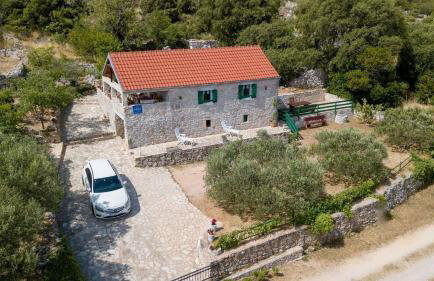 House Radojka - Foto 47