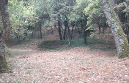 Quinta Vale do Nox - Foto 9