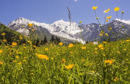 T2 with pool in Saint-Gervais-les-Bains - Foto 25