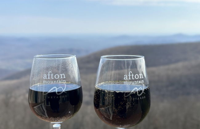 Sauna dog Friendly Amazing Views to ski Slopes - Foto 5