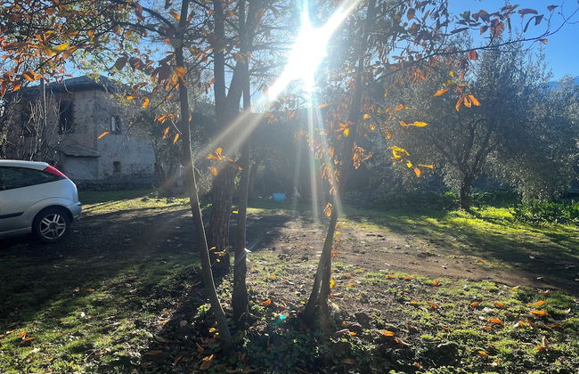 Poggio Roseto - Foto 49