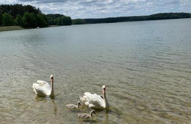 Domek wypoczynkowy w lesie nad jeziorem - Foto 33