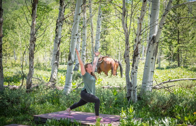 Vista Verde Ranch All-inclusive - Adults Only - Foto 29