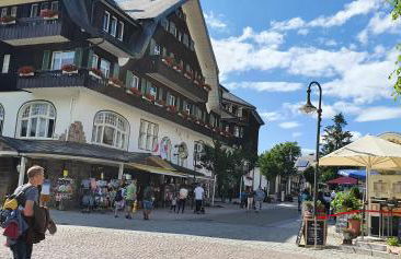 Landhaus-Apartment Feldbergblick - Foto 32