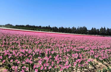 La maison d'à côté - Foto 2
