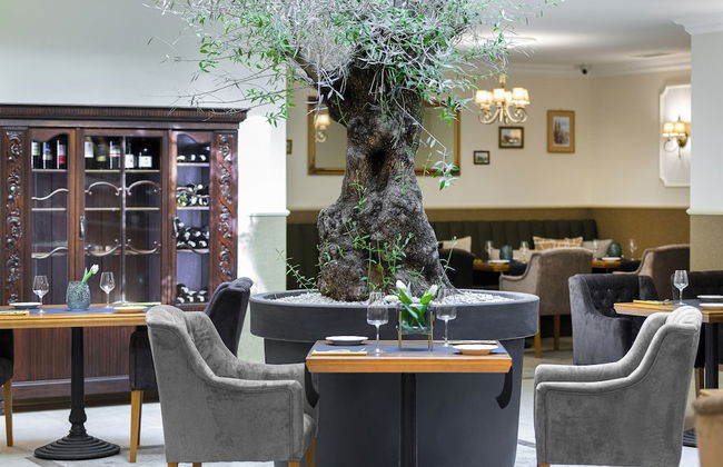 Ventus Rosa Boutique Aparthotel - Foto 45