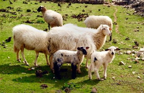 Beautiful view apartment with garage space - Photo 26
