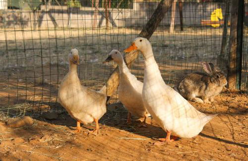 Azienda Agrituristica Baglio Carta - Foto 74